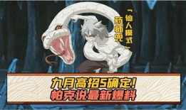 高招s忍最新爆料,揭秘忍界新势力崛起之谜